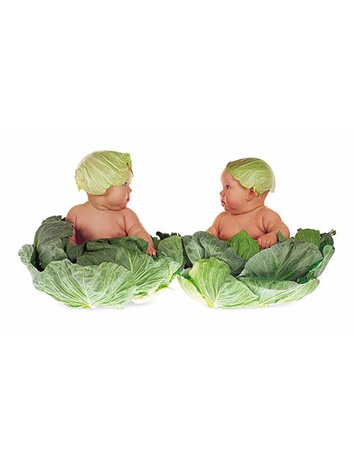 Anne-Geddes-Cabbage-Kids