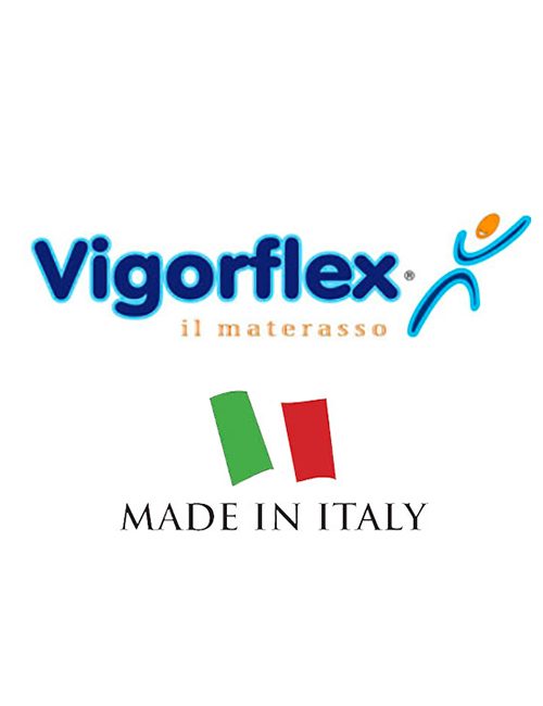 logo-vigorflex