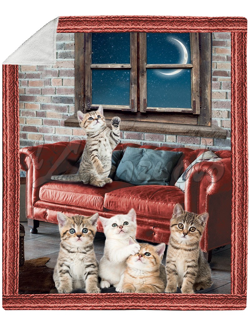 Copriletto Plaid Coperta 150 x 200 cm Copriletto con motivi di animali gatto 150 x 200 cm 