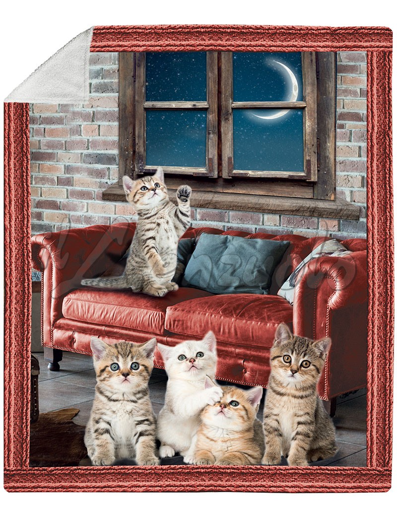 Copriletto Plaid Coperta 150 x 200 cm Copriletto con motivi di animali gatto 150 x 200 cm Copriletto Plaid Coperta 150 x 200 cm Copriletto con motivi di animali gatto 150 x 200 cm