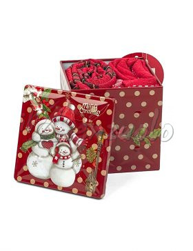 strofinacci-natalizi-in-confezione-di-latta-pupazzo-di-neve