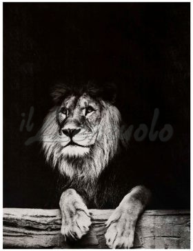 Tappeto arredo SKIN KING