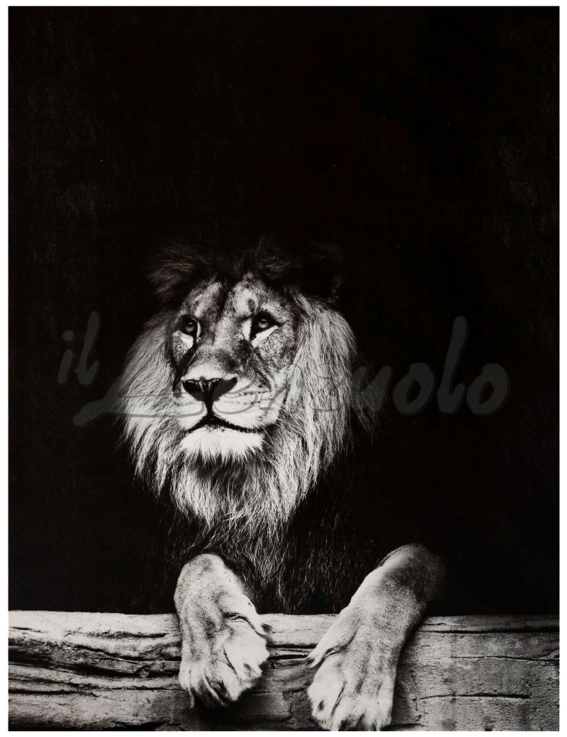 Tappeto arredo SKIN KING