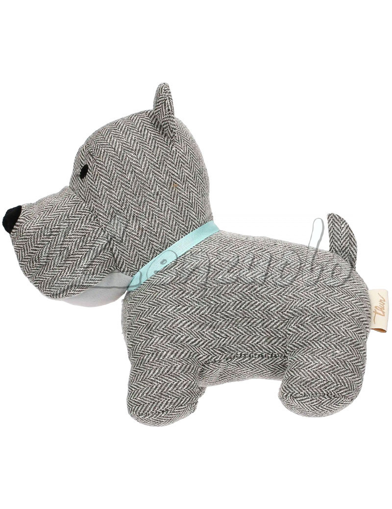 fermaporta-thun-cane